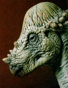 pachycephalosaurus.jpg